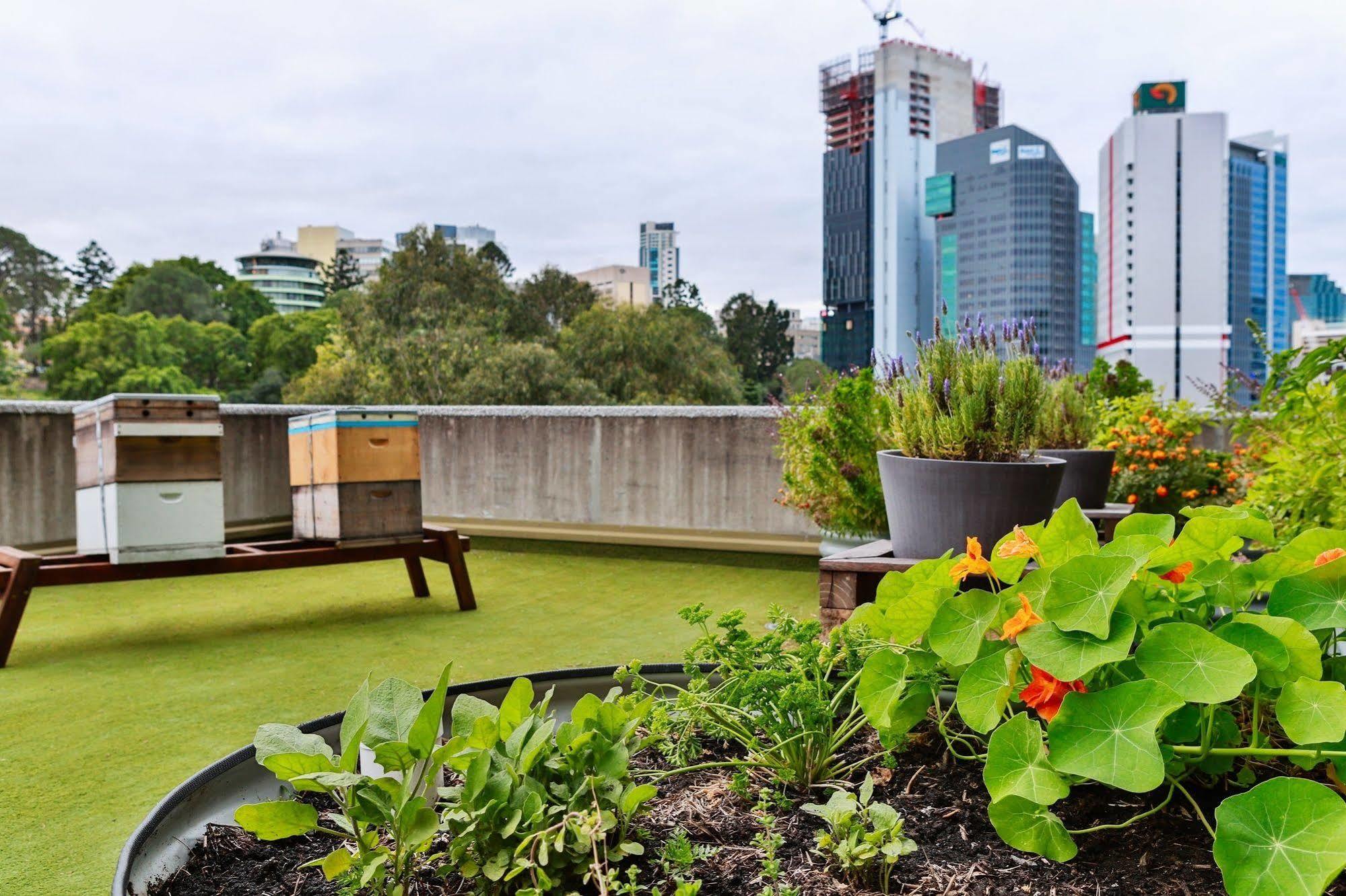 Hotel Jen Brisbane Luaran gambar